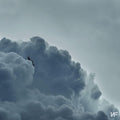 NF - Clouds (The Mixtape) [LP]