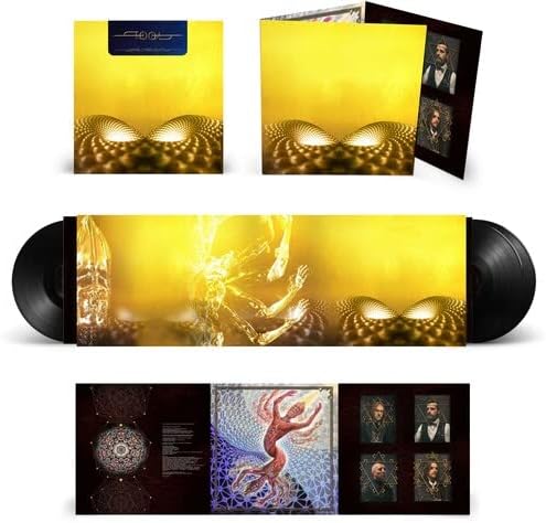 Tool - Fear Inoculum [180g Black Vinyl 3LP]