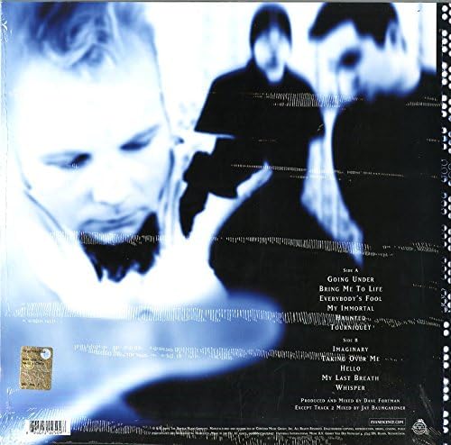 Evanescence - Fallen [LP] – product photo 2
