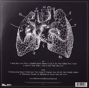 Florence + The Machine - Lungs [Vinyl LP] - Catalog To Music