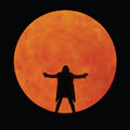David Gilmour - Live at the Circus Maximus [3-Disc DVD Box Set]
