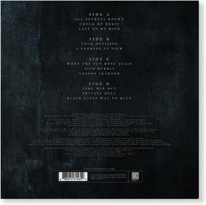 Alice In Chains - Black Gives Way To Blue (15th Anniversary) [180g Black Vinyl 2LP] – product photo 3