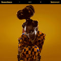 Little Simz - Sometimes I Might Be Introvert [2LP]