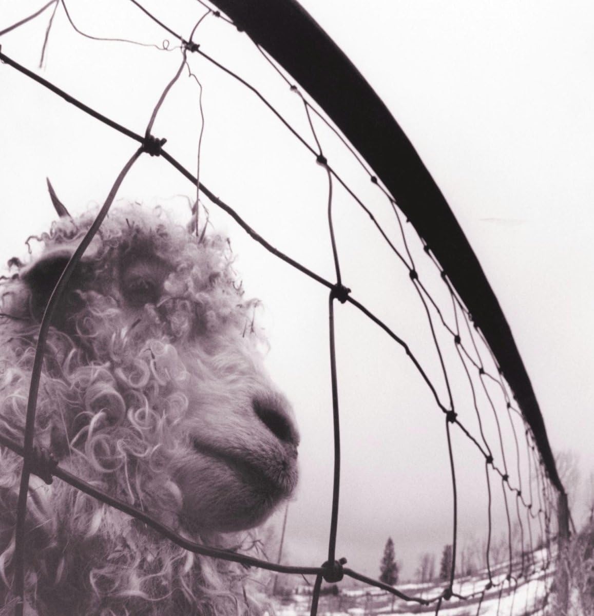 Pearl Jam - Vs. [180g Black Vinyl LP] – album cover