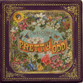 Panic! at the Disco - Pretty. Odd. [Vinyl LP] - Catalog To Music