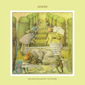 Genesis Selling England By The Pound Half-Speed Mastered 180g Vinyl Record Cover