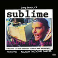 Sublime Robbin' The Hood 2LP Vinyl Record Album Cover