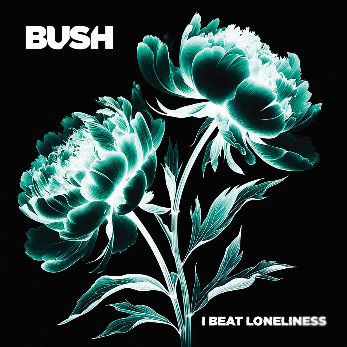Bush - I Beat Loneliness [Black Vinyl 2LP] – product photo 2