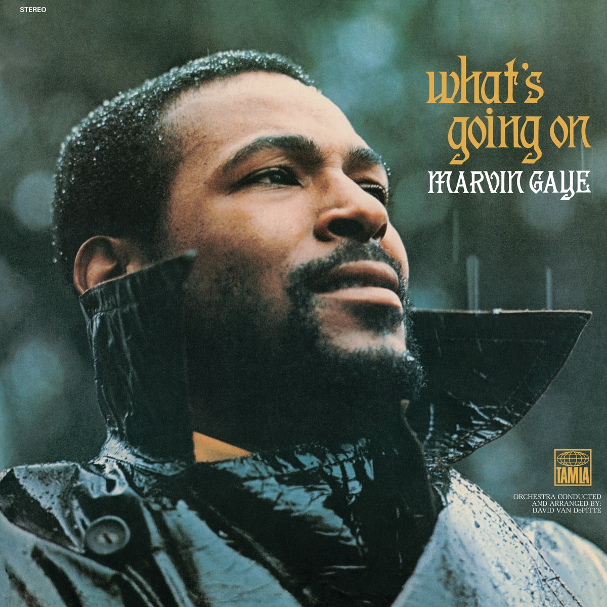 Marvin Gaye - What’s Going On [LP] – album cover