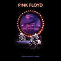 Pink Floyd - Delicate Sound Of Thunder (Restored, Re-Edited, Remixed) [180g Vinyl 3LP] – album cover